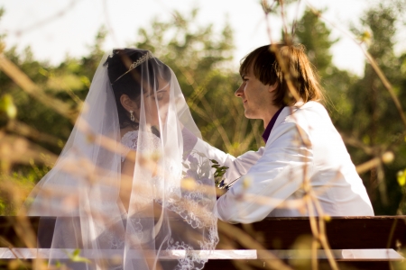 Romantic wedding couple sitting on a bench in the parkの写真素材