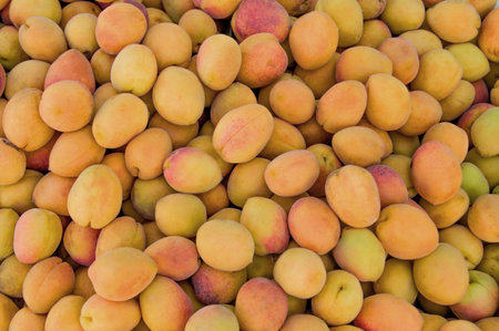 Fresh apricots