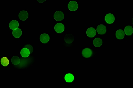 bokeh of christmas lights , abstract backgroundの写真素材