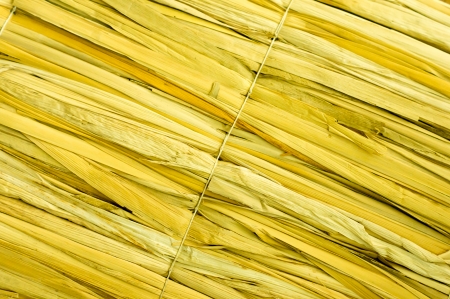 fence of dry caneの写真素材