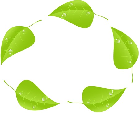 Green leaf with space for text  Vectorのイラスト素材