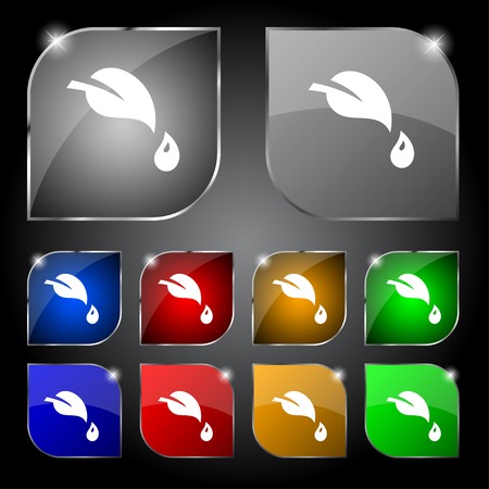 Leaf sign icon. Fresh natural product symbol. set buttons.のイラスト素材