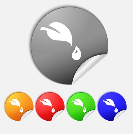 Leaf sign icon. Fresh natural product symbol. set buttons. のイラスト素材