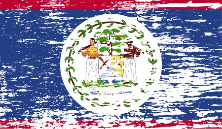 Flag of Belize with old texture. Vector illustrationのイラスト素材
