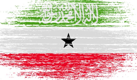 Flag of Somaliland with old texture. Vector illustrationのイラスト素材