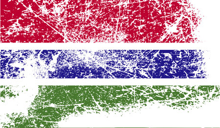 Flag of Gambia with old texture. Vector illustrationのイラスト素材