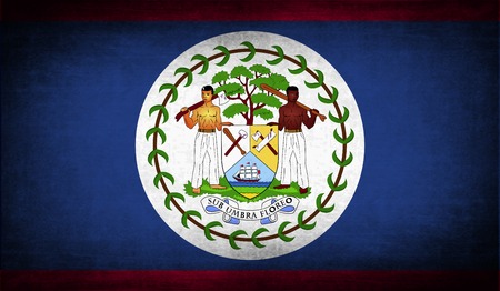 Flag of Belize with old texture. Vector illustrationのイラスト素材
