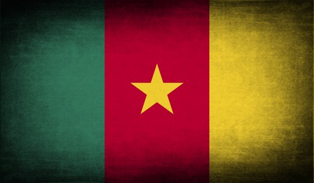 Flag of Cameroon with old texture. Vector illustrationのイラスト素材