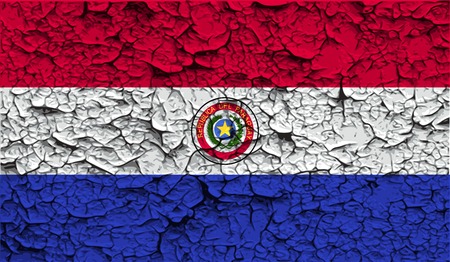 Flag of Paraguay with old texture. Vector illustrationのイラスト素材