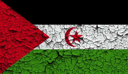 Flag of Western Sahara with old texture. Vector illustrationのイラスト素材