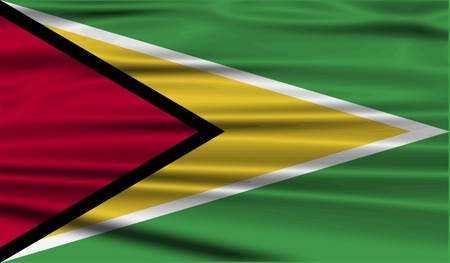 Flag of Guyana with old texture. Vector illustrationのイラスト素材