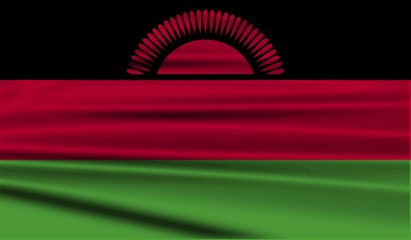 Flag of Malawi with old texture. Vector illustrationのイラスト素材