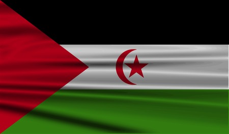 Flag of Western Sahara with old texture. Vector illustrationのイラスト素材