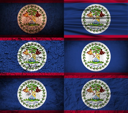 Flag of Belize with old texture. Vector illustrationのイラスト素材