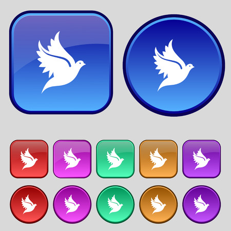 Dove icon sign. A set of twelve vintage buttons for your design. Vector illustrationのイラスト素材