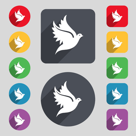 Dove icon sign. A set of 12 colored buttons and a long shadow. Flat design. Vector illustrationのイラスト素材