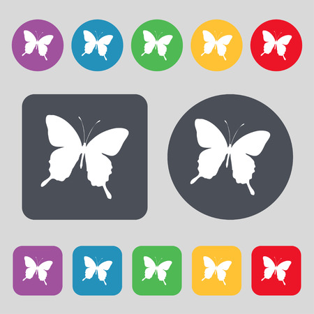 butterfly icon sign. A set of 12 colored buttons. Flat design. Vector illustrationのイラスト素材