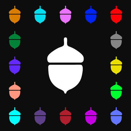 Acorn icon sign. Lots of colorful symbols for your design. Vector illustrationのイラスト素材