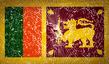 Flags of Sri Lanka with broken glass texture. Vector illustrationのイラスト素材
