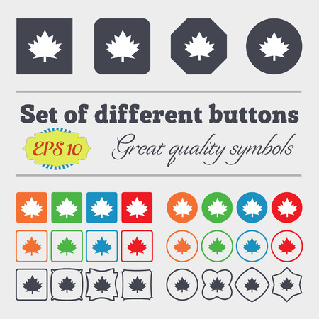 Maple leaf icon. Big set of colorful, diverse, high-quality buttons. Vector illustrationのイラスト素材
