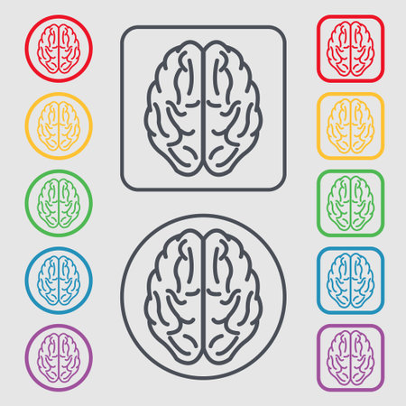 Brainのイラスト素材