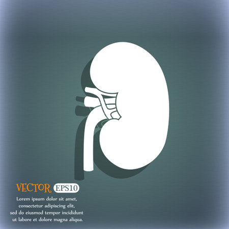 Kidneyのイラスト素材