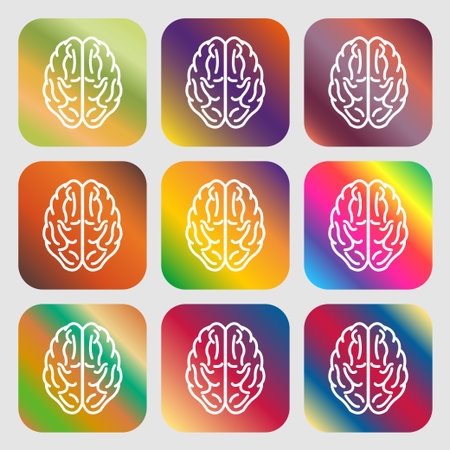 Brain sign icon . Nine buttons with bright gradients for beautiful design. Vector illustrationのイラスト素材