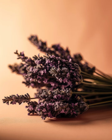 Bouquet of lavender flowers on a beige background. (AI Generated)の素材