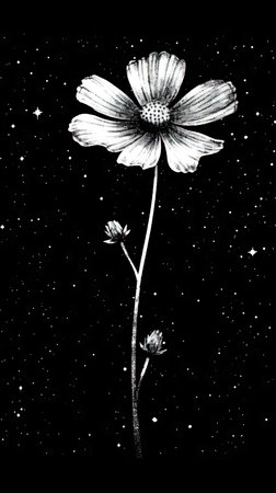Cosmos flower on a black background. Hand-drawn illustration. (ai generated)の素材