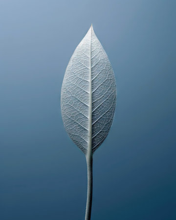 Leaf of a plant on a blue background, close-up (ai generated)の素材
