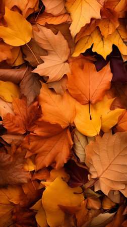 Autumn leaves background. Colorful autumn leaves background. Top view. (ai generated)の素材