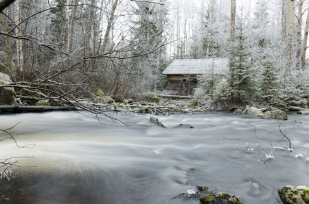 Little house in the forest with a little river in frontの写真素材