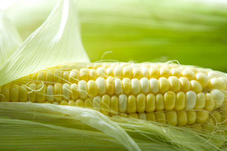 sweet corn