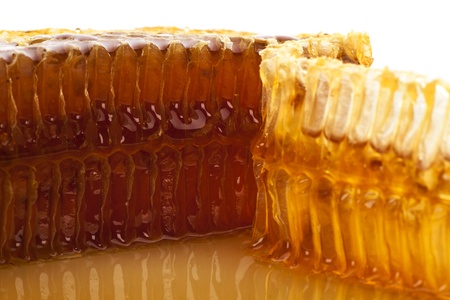 Honeycombの写真素材