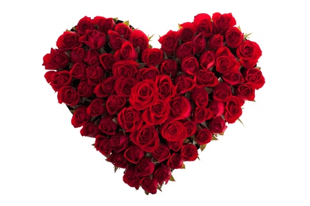 Rosesの写真素材