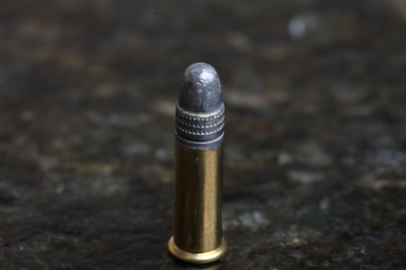 22 Bulletの写真素材