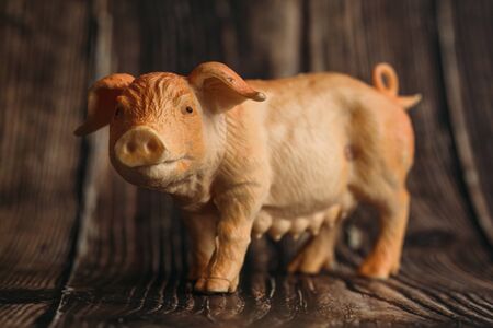 figurine of a toy pig on a wooden background.の写真素材