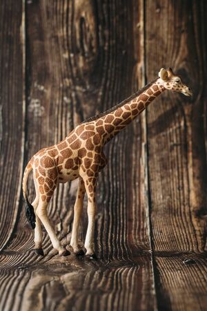 toy giraffe figurine on wooden background.の写真素材
