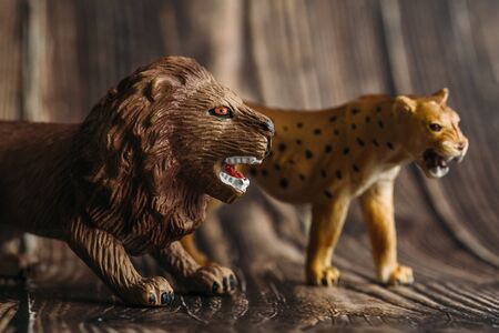 figure of a toy Cheetah and a lion next to a wooden background.の写真素材