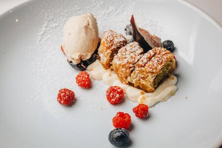 Strudel with raisins, fresh berries and ice cream. Slices of strudel with raisins and apples, sprinkle with powdered sugar on a white plate with fresh berriesの写真素材