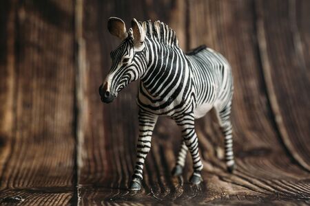 figure of a toy Zebra on a wooden background.の写真素材