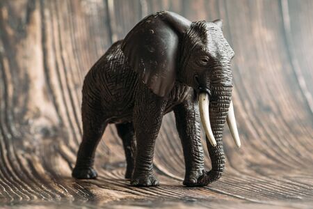 figure of a toy elephant on a wooden background.の写真素材