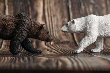 figure of a toy polar bear and a brown bear opposite each other on a wooden background.の写真素材