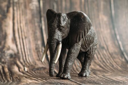 figure of a toy elephant on a wooden background.の写真素材
