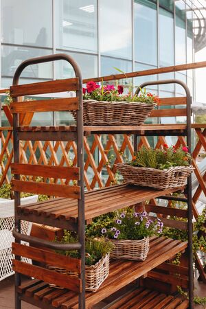 vintage wardrobe with wooden shelves on which there are pots with beautiful flowers.の写真素材