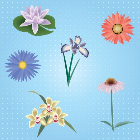 This image is an illustration and can be scaled to any size without loss of resolution のイラスト素材