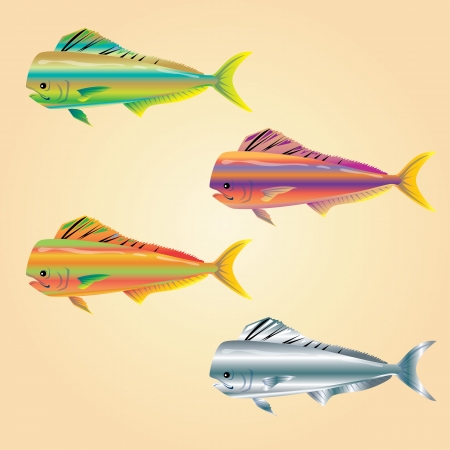 colorful fishのイラスト素材