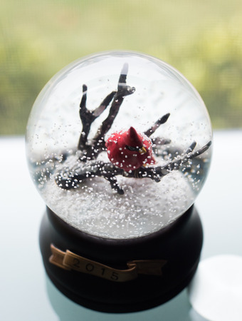 Snow globeの写真素材