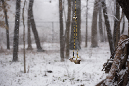 Swing in a park at winterの写真素材
