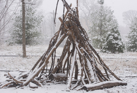 Tree houseの写真素材